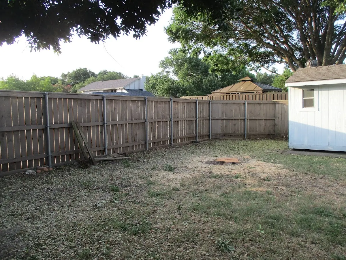 Cleared yard after professional tree removal in Nortonville