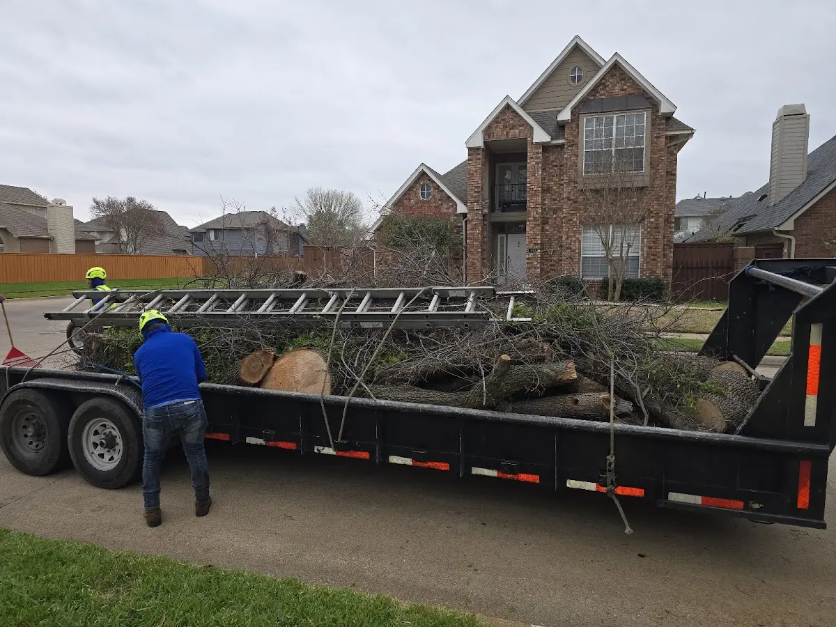Expert Crown Reduction with proper safety equipment in Nortonville